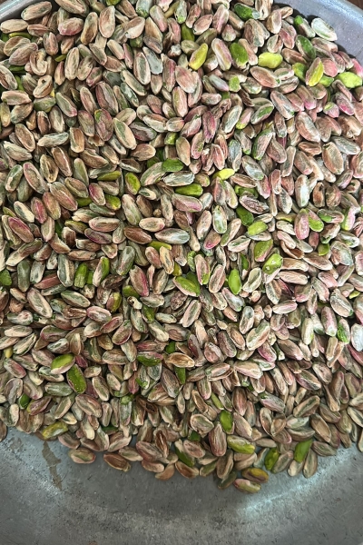 suphibozkanfıstıkihracatürünleri (8)